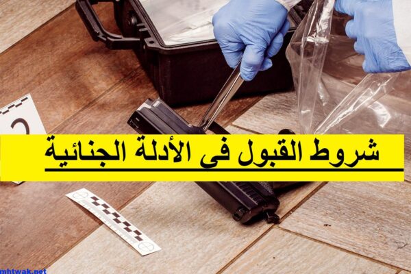 شروط القبول في الأدلة الجنائية للنساء والرجال