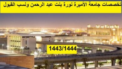 تخصصات جامعة الأميرة نورة بنت عبد الرحمن ونسب القبول