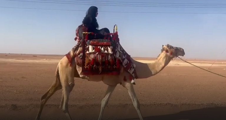 معلومات عن رشا القرشي ويكيبيديا واصلها من اين