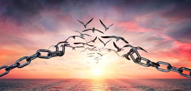 موضوع تعبير عن الحرية بالعناصر