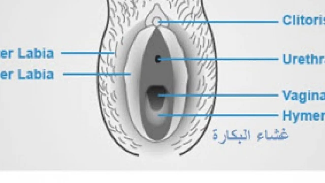 غشاء البكارة اسئلة واجوبة 100 سؤال وجواب