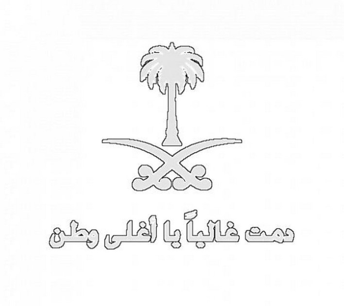 صور يوم التأسيس
