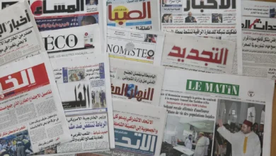 استخدم الفنان الخامات المختلفة مثل قصاصات الجرائد والنفايات الصناعية وغيرها لاضفاء ابعاد للعمل الفني