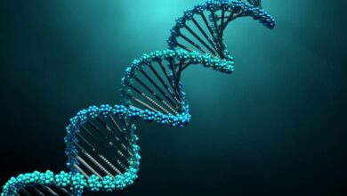 يشبه تركيب DNA السلم اللولبي ويتكون جانبا السلم