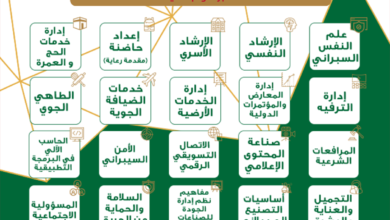 تخصصات جامعة الملك عبدالعزيز 1444 علمي ادبي وشروط القبول