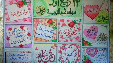اكتب فقرة من سطرين عن مجلة حائط صممتها مع زملائي
