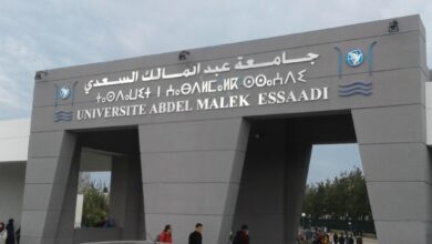 تخصصات جامعة السعدي 2023