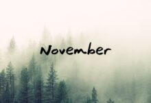 أجمل كلام عن شهر نوفمبر 11 مختارة من أجلكم لمواليد نوفمبر