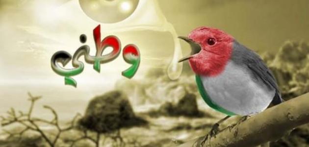 اجمل كلام عن الوطن الجريح كلمات مؤثر شعر عبارات