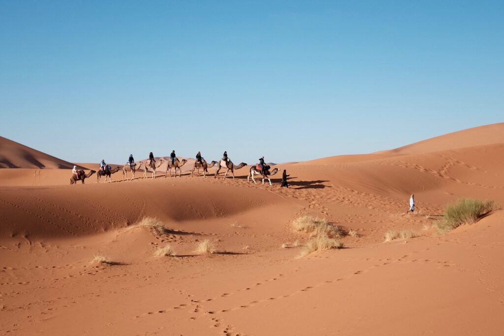 العثيم وش يرجع، اصل قبيلة العثيم من وين