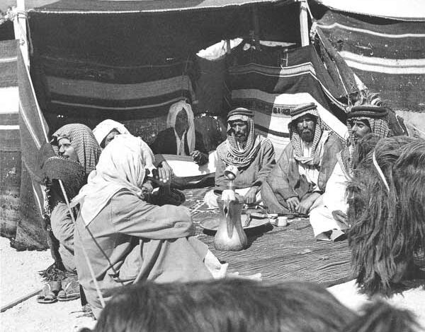 شجرة الغويري وش يرجعون