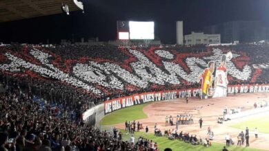 معنى تيفو الرجاء البيضاوي TiVo اليوم