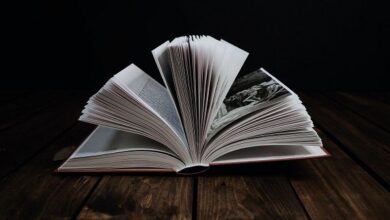 تحميل رواية عاشق النجم الفصول كاملة pdf
