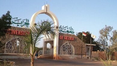 رابط التسجيل الالكتروني جامعة الجزيرة شروط