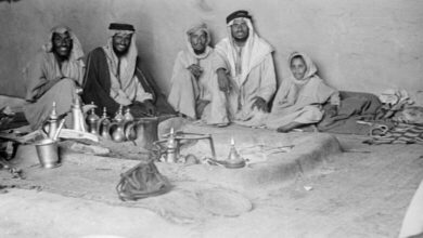 شجرة الغويري وش يرجعون