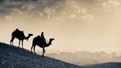 عائلة البذالي من وين وش يرجع