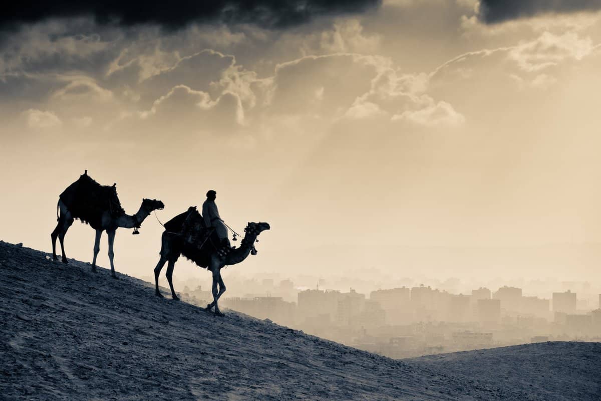 عائلة البذالي من وين وش يرجع