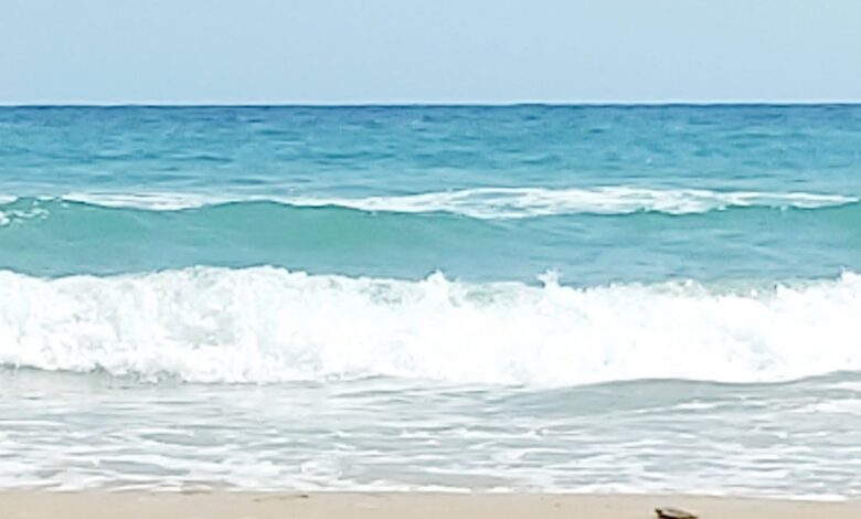 ماهو اسم صوت الموج
