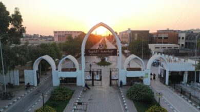 بونات التغذية جامعة المنيا