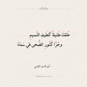 شرح قصيدة خلقت طليقا أبي القاسم الشابي