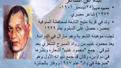 معلومات عن الشاعر محمود غنيم،