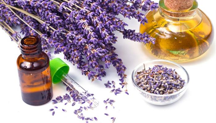 تجربتي مع الخزامى للحمل وأهم فوائده