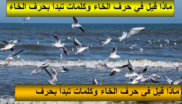 ماذا قيل في حرف الخاء وكلمات تبدأ بحرف الخاء