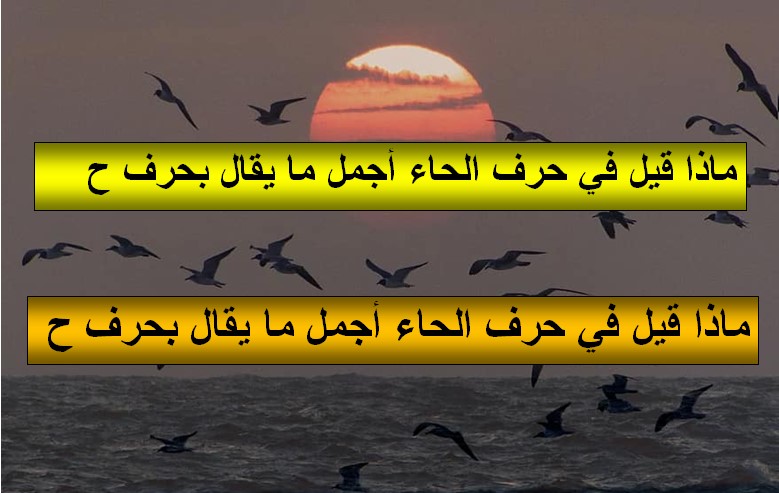 ماذا قيل في حرف الحاء أجمل ما يقال بحرف الحاء