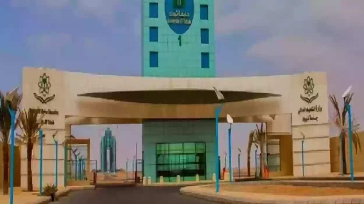 نسب القبول في جامعة تبوك 1445 والتخصصات المطلوبة