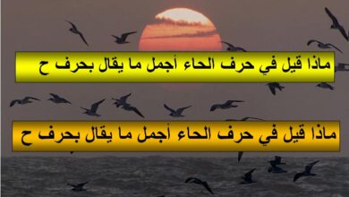 ماذا قيل في حرف الحاء أجمل ما يقال بحرف الحاء