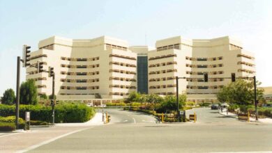 تخصصات جامعة الملك عبدالعزيز انتساب 2024