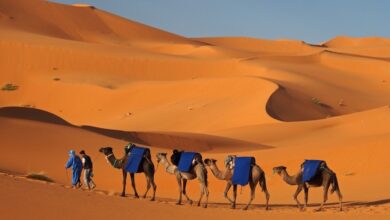 الحنيني وش يرجع
