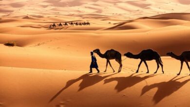 العاطفي وش يرجع