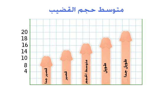 كم عرض الذكر المناسب للمرأة