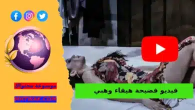 مقطع هيفاء وهبي حصري