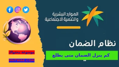 كم ينزل الضمان متى يطلع مبلغ الضمان