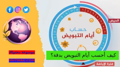 ما هو التبويض ولماذا هو مهم؟