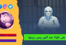 من هي علياء عبد النور ومن زوجها