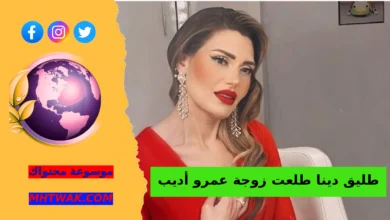 من هي دينا طلعت؟ السيرة المختصرة