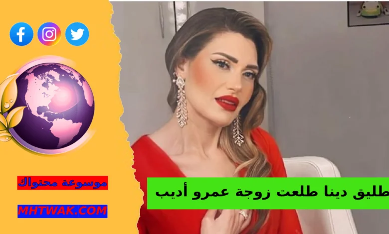 من هي دينا طلعت؟ السيرة المختصرة