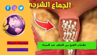 علامات التغيّرات أو الأذى في منطقة الشرج لدى النساء