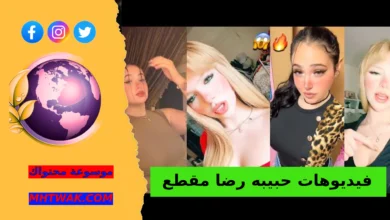 مقاطع حبيبة رضا كاملة