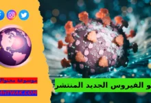 أين بدأ انتشار الفيروس الجديد المنتشر ما هو