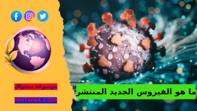 أين بدأ انتشار الفيروس الجديد المنتشر ما هو