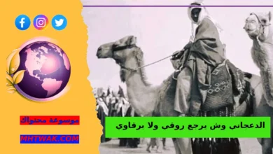 هل الدعجاني عتيبي الدعجاني وش يرجع