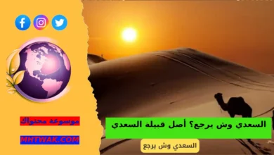 هل قبيلة السعدي من قحطان السعدي وش يرجع