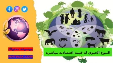 التنوع الحيوي له قيمة اقتصادية مباشرة وغير مباشرة